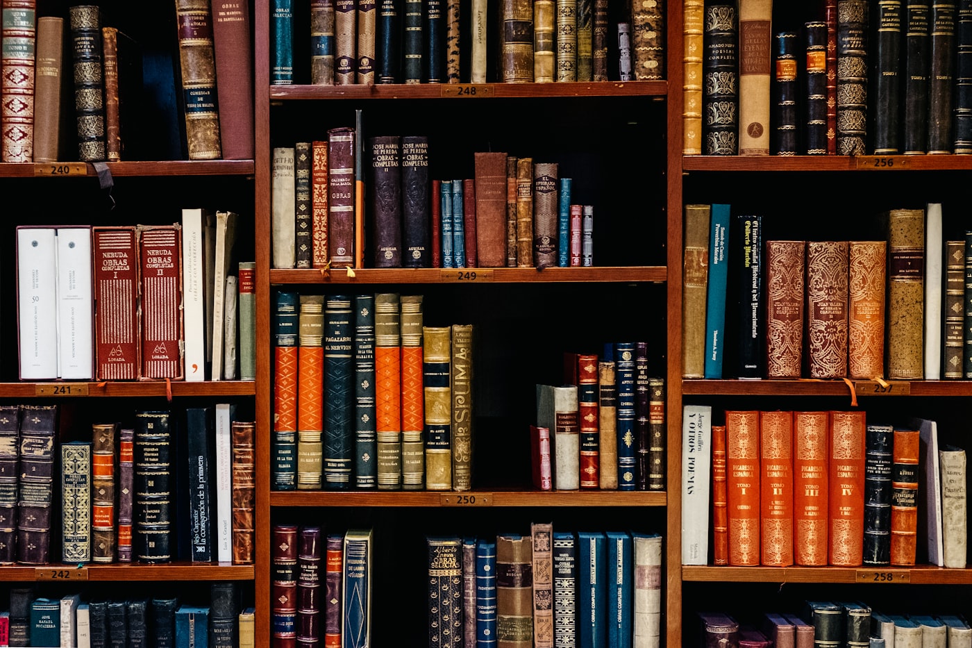 Shelves of leather-bound legal books
